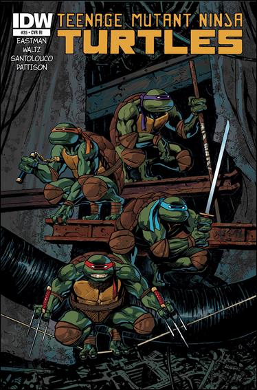 Teenage Mutant Ninja Turtles (2011) issue 35-D Ken Garing Cover