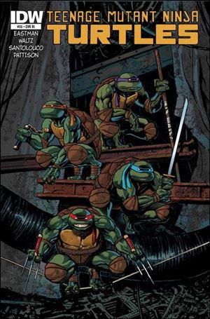 Teenage Mutant Ninja Turtles (2011) issue 35-D Ken Garing Cover