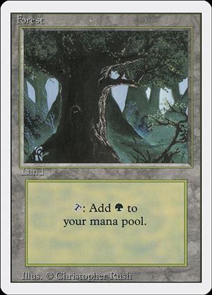 Magic the Gathering: Revised (Base Set) card 296-C Forest
