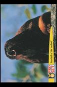 Guinness World Records (Base Set) card 71 Survival of the loudest!