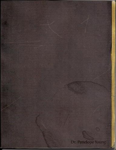 Arkham Doctor's Journal issue nn