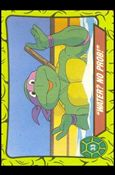Teenage Mutant Hero Turtles (Ireland) (Base Set) card 33 