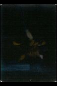 Marvel Motion (VirtualVision Subset) Cover Image 2