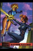 DC Versus Marvel / Marvel Versus DC (Base Set) card 53 Black Widow / Black Canary