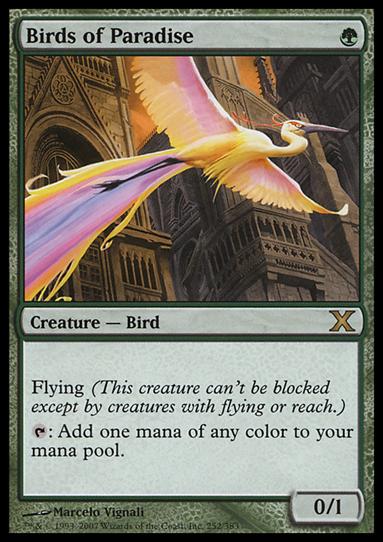 Magic the Gathering: 10th Edition (Base Set) card 252 Birds of Paradise