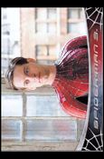 Spider-Man 3: The Movie (Base Set) card 24