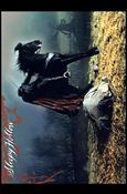 Sleepy Hollow (Movie) (Base Set) card 23 The Fate of Philise