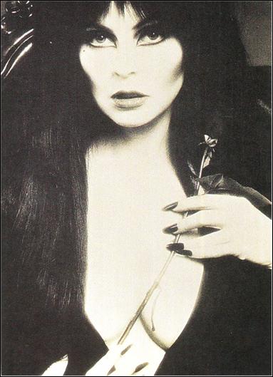 Elvira Mistress of the Dark (Base Set) card 27