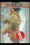 Beanie Babies Series 1 (Retired Beanies Subset) card 20 Steg the Stegasaurus Red Lettering