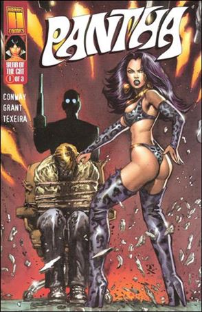 Vampirella Monthly issue 13-C Mark Texeira Pantha Cover
