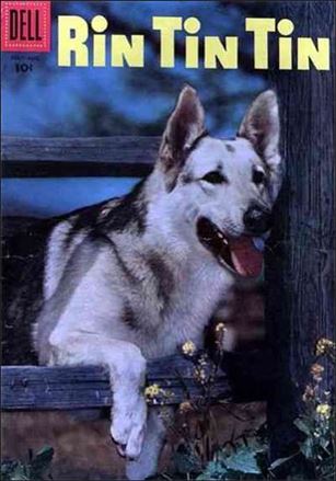 Rin Tin Tin issue 14