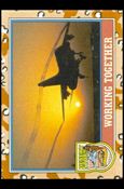 Desert Storm: Series 2 (Base Set) card 147 Working Together