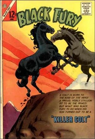 Black Fury issue 42