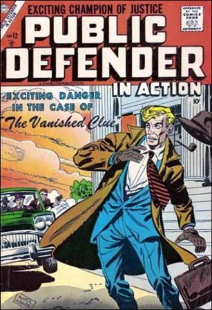 Public Defender in Action Cover Image 2