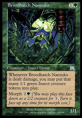 Magic the Gathering: Onslaught (Base Set) card 250 Broodhatch Nantuko