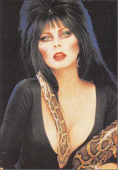 Elvira Mistress of the Dark (Base Set) card 20