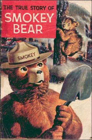 True Story of Smokey Bear issue 1-D 1969 cover