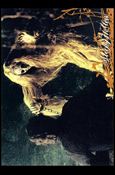 Sleepy Hollow (Movie) (Base Set) card 29 Ritual of Evil