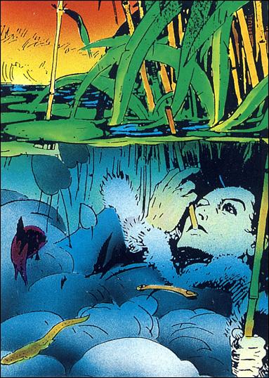 Prince Valiant (Base Set) card 9 An Unlikely Hideout