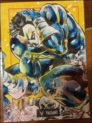 2013 Valiant Comics Preview Trading Card Set (Sketch Card Subset) card DC-01