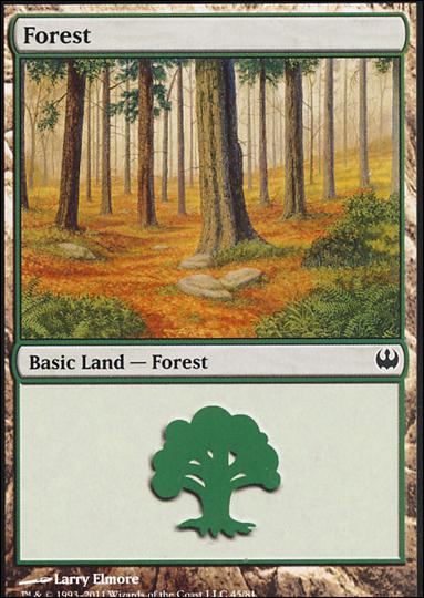 Magic the Gathering: Duel Decks: Knights vs. Dragons (Base Set) card 45 Forest