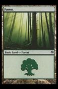 Magic the Gathering: Duel Decks: Phyrexia vs. the Coalition (Base Set) card 70 Forest