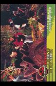 Lost World: Jurassic Park (Base Set) card 46 Setting Up the Stego