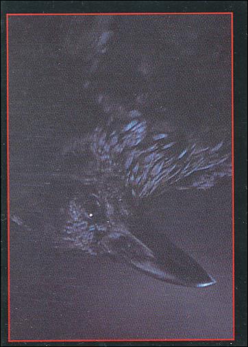 Crow: The Movie (Base Set) card 7 A Crow Shall Lead Him
