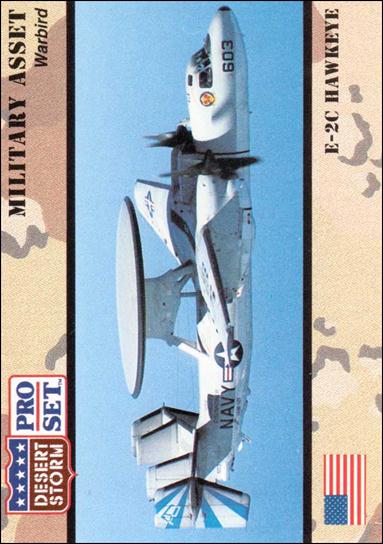 Desert Storm (Base Set) card 246