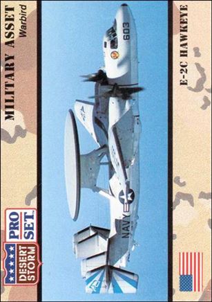 Desert Storm (Base Set) card 246