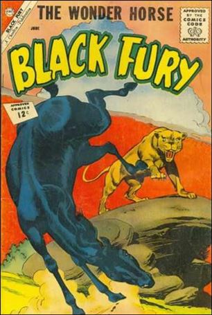 Black Fury issue 36