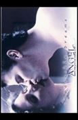 Angel: Season Four (Box Topper Subset) Cover Image 2