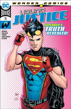 Young Justice (2019) issue 15 John Timms Cover