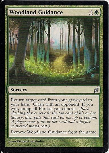 Magic the Gathering: Lorwyn (Base Set) card 243 Woodland Guidance