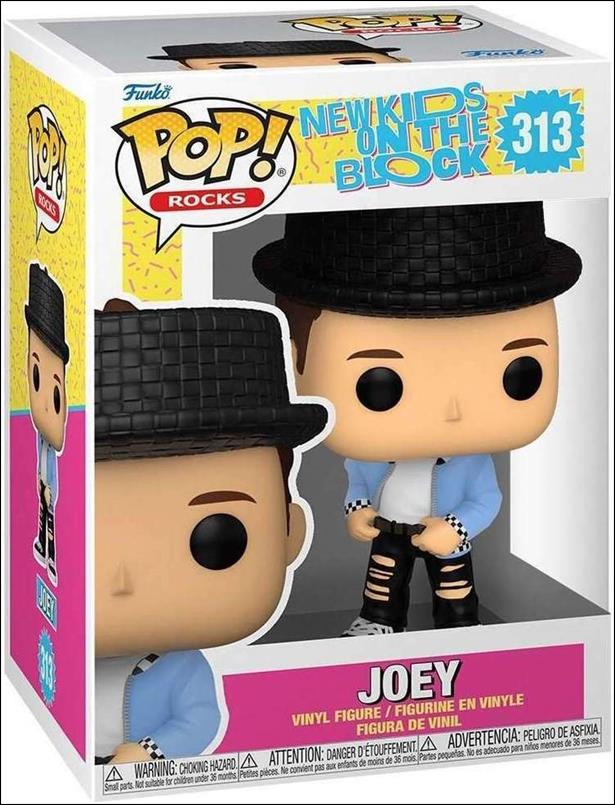 Pop! Rocks figure 313 Joey