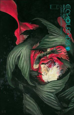 Echolands issue 4-C J.H. Williams III Raw Cut Edition Cover