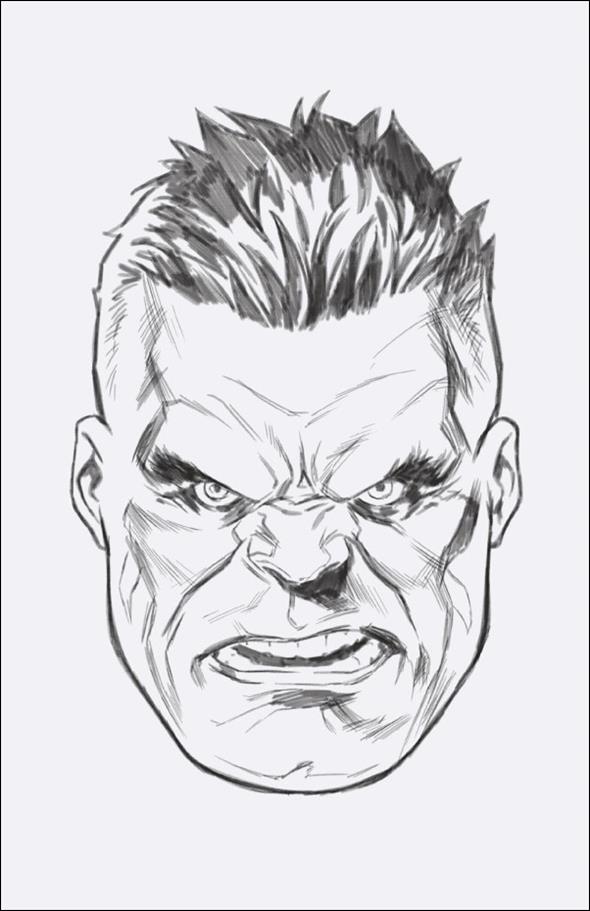 Incredible Hulk (2023) issue 10-D Mark Brooks 1:50 Headshot Sketch Virgin Cover