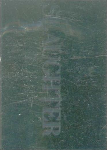 Mega Metal (Hologram Subset) card nn7 Slaughter