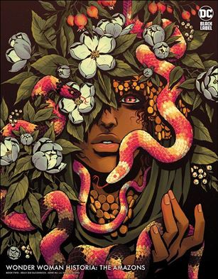 Wonder Woman Historia: The Amazons issue 2-B Becky Cloonan Cover