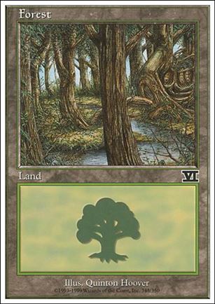 Magic the Gathering: 6th Edition (Base Set) card 348 Forest