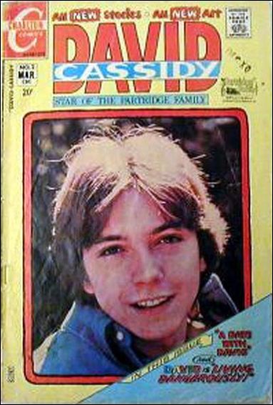 David Cassidy issue 2
