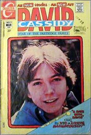 David Cassidy issue 2