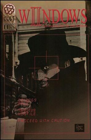 Wiindows issue 11