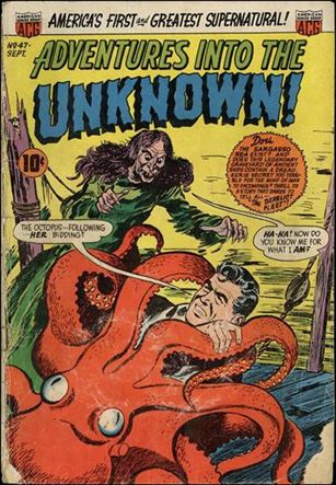 Adventures into the Unknown (1948) issue 47