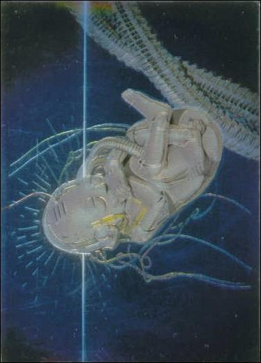 Sorayama II: Chromium Creatures (Base Set) card 73 Future Fetus