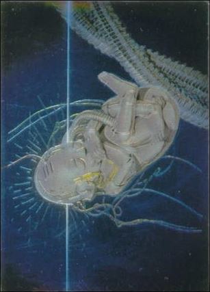 Sorayama II: Chromium Creatures (Base Set) card 73 Future Fetus