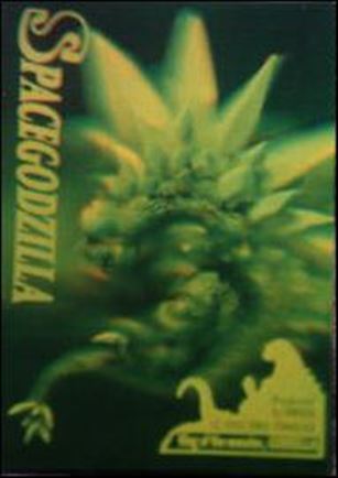 Godzilla (Hologram Subset) card 2