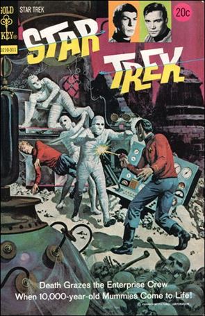 Star Trek (1967) issue 21