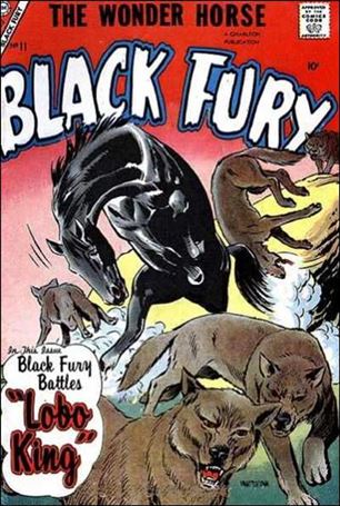 Black Fury issue 11