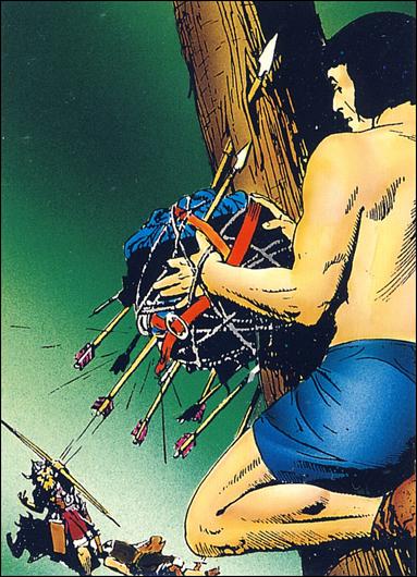 Prince Valiant (Base Set) card 17 Coat of Many Uses